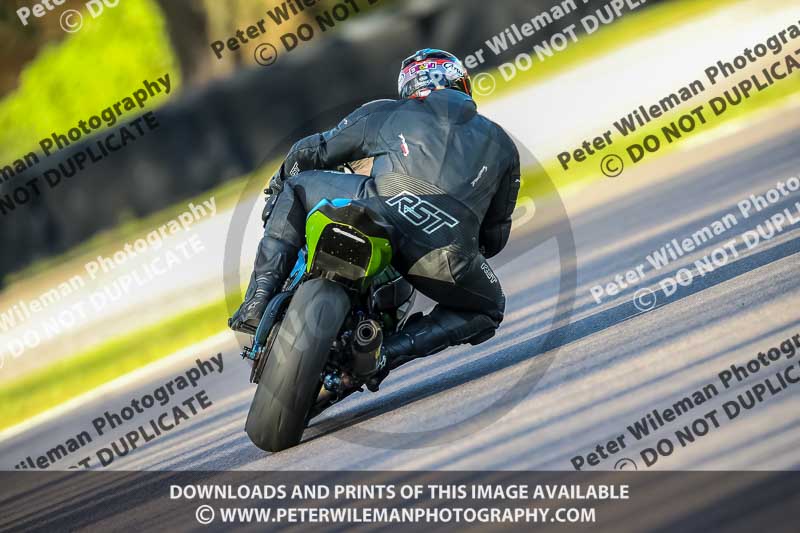 Oulton Park 20th March 2020;PJ Motorsport Photography 2020;anglesey;brands hatch;cadwell park;croft;donington park;enduro digital images;event digital images;eventdigitalimages;mallory;no limits;oulton park;peter wileman photography;racing digital images;silverstone;snetterton;trackday digital images;trackday photos;vmcc banbury run;welsh 2 day enduro